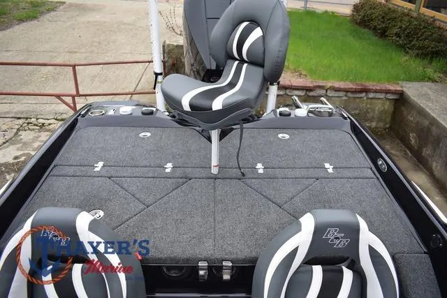 Slide: The Image of Bass Cat Eyra 2025 - 46