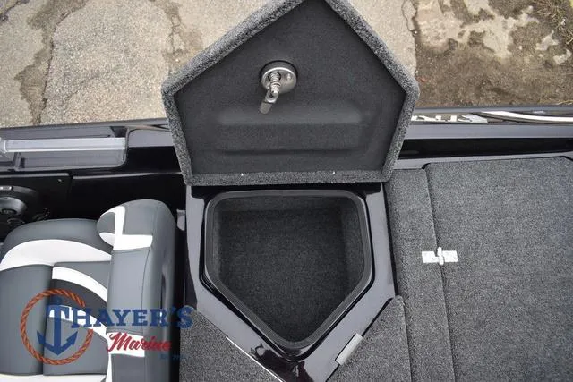 Slide: The Image of Bass Cat Eyra 2025 - 48