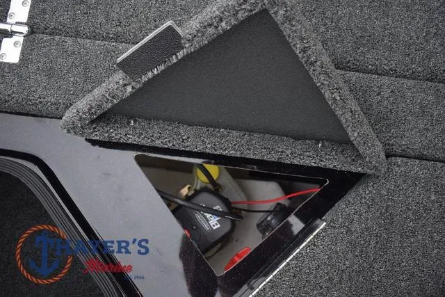 Slide: The Image of Bass Cat Eyra 2025 - 49