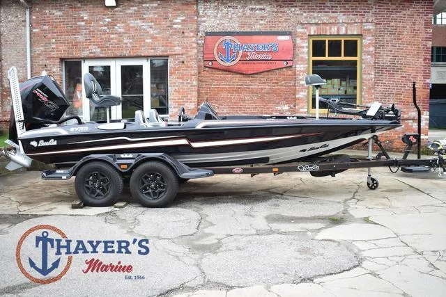 Slide: The Image of Bass Cat Eyra 2025 - 5