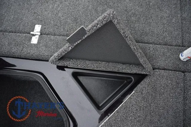 Slide: The Image of Bass Cat Eyra 2025 - 50