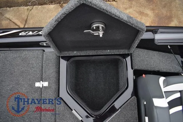 Slide: The Image of Bass Cat Eyra 2025 - 51