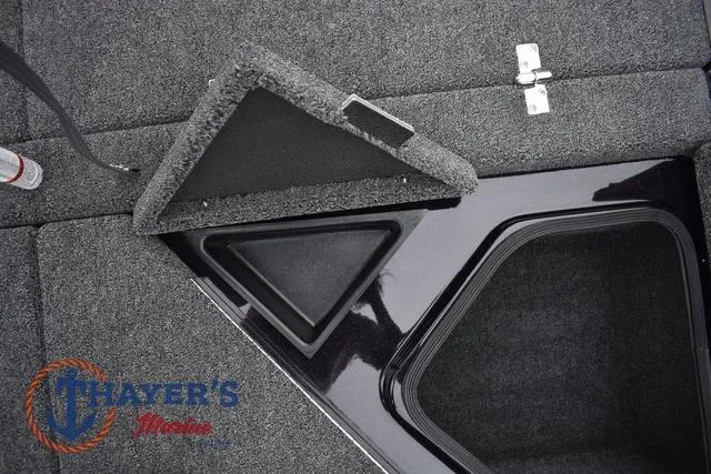 Slide: The Image of Bass Cat Eyra 2025 - 52