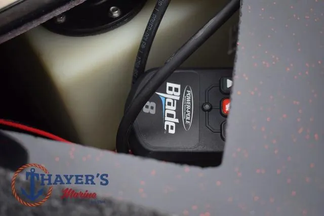 Slide: The Image of Bass Cat Eyra 2025 - 53