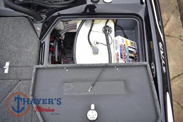 Slide: The Image of Bass Cat Eyra 2025 - 54