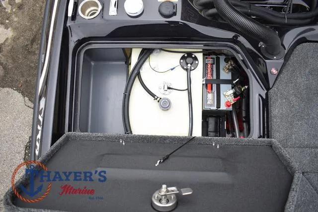 Slide: The Image of Bass Cat Eyra 2025 - 55