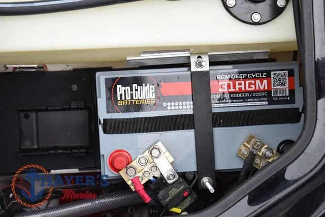 Slide: The Image of Bass Cat Eyra 2025 - 56