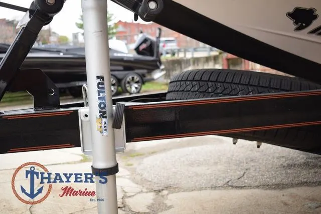 Slide: The Image of Bass Cat Eyra 2025 - 57