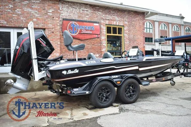 Slide: The Image of Bass Cat Eyra 2025 - 6