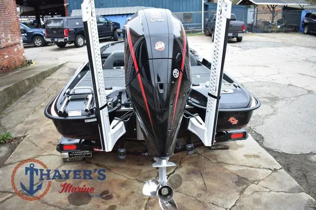 Slide: The Image of Bass Cat Eyra 2025 - 7