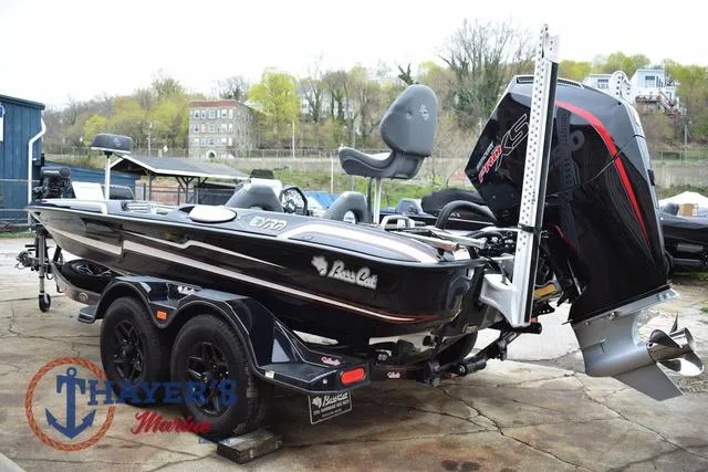 Slide: The Image of Bass Cat Eyra 2025 - 8