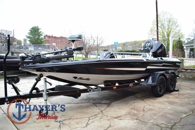 Slide: The Image of Bass Cat Eyra 2025 - 9