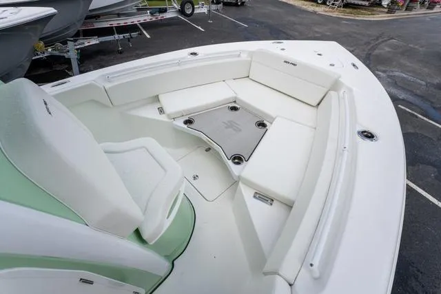 Slide: The Image of Sea Pro 245FLX 2025 - 16