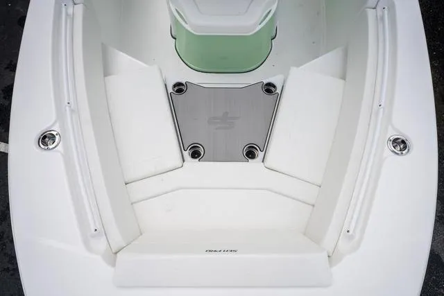 Slide: The Image of Sea Pro 245FLX 2025 - 18