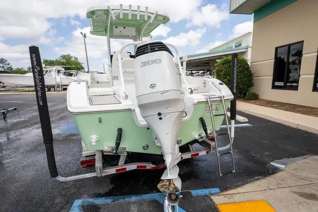 Slide: The Image of Sea Pro 245FLX 2025 - 3