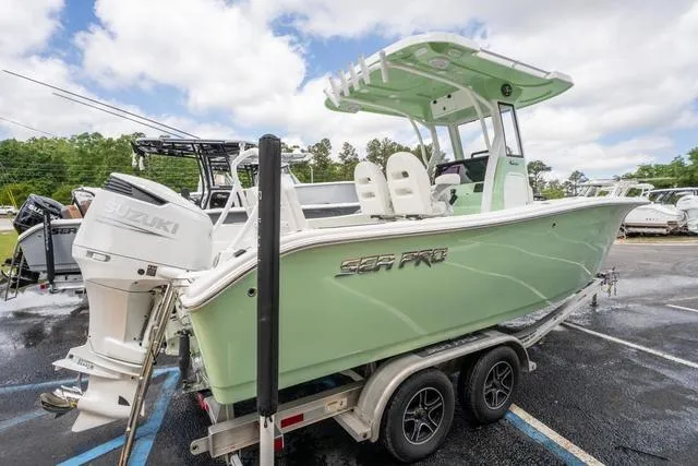 Slide: The Image of Sea Pro 245FLX 2025 - 4