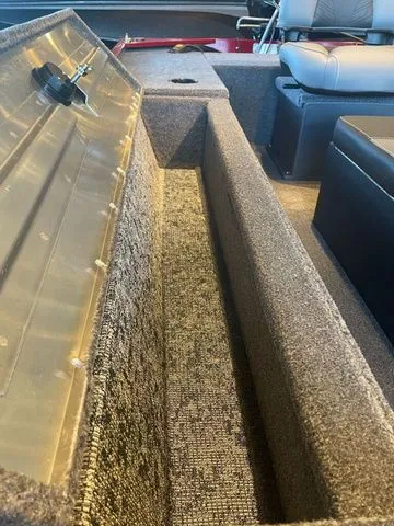 Slide: The Image of Tracker Panfish 17 2025 - 12