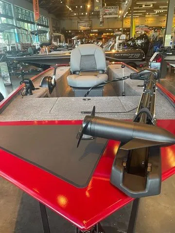 Slide: The Image of Tracker Panfish 17 2025 - 3