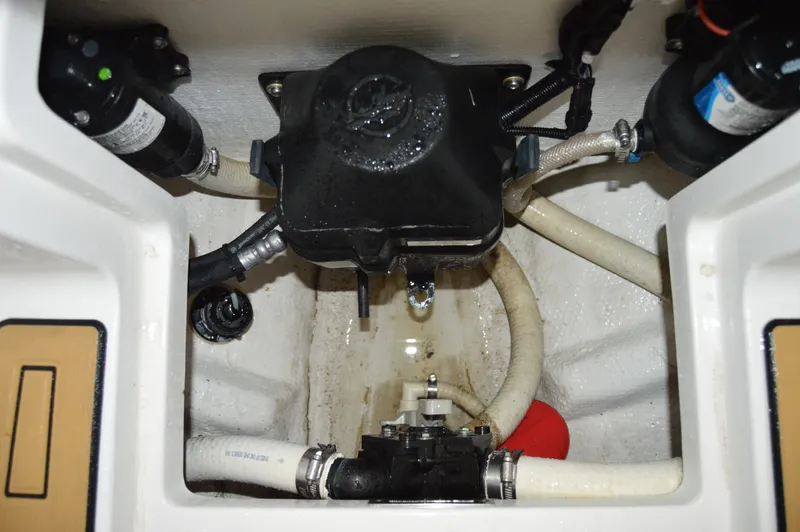 Slide: The Image of Statement 380 Open 2017 - 93