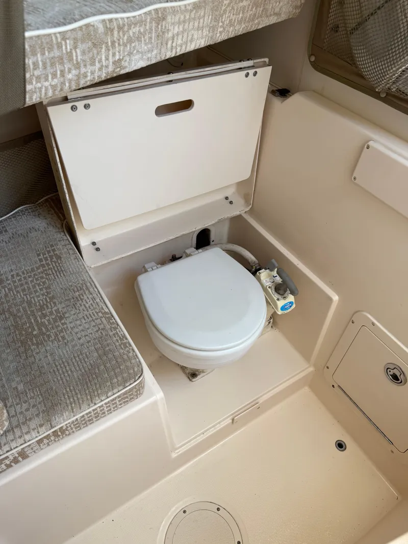 Slide: The Image of Head - 13