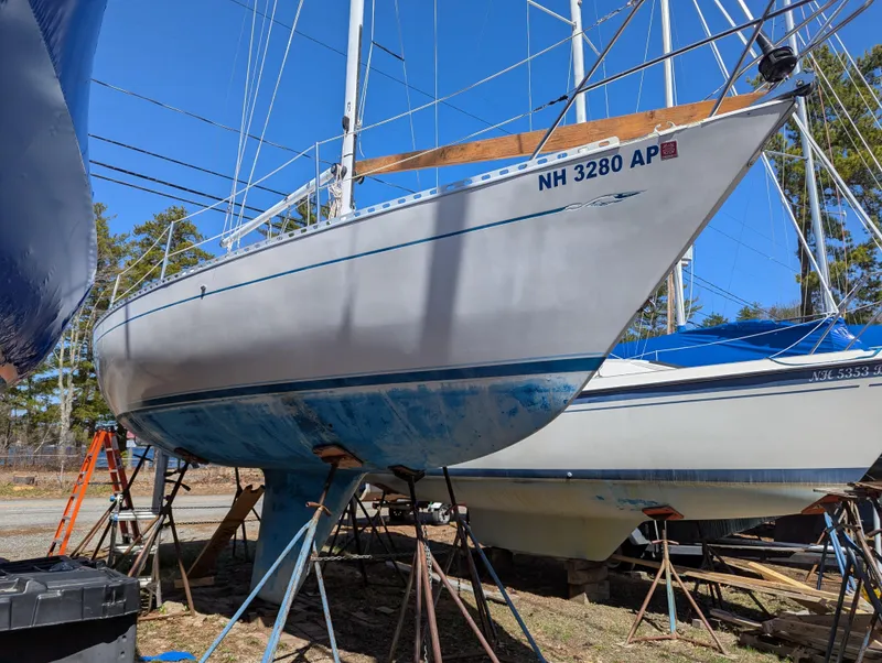 Slide: The Image of 1984 Islander 28 sailboat on stands, hull painted blue and white, outdoors. - 2