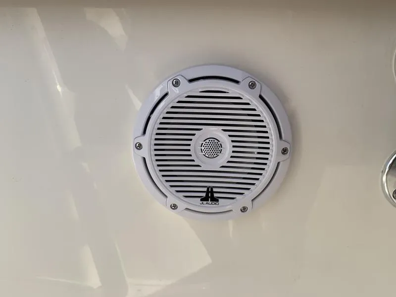 Slide: The Image of White speaker on Pioneer ISLANDER 202 boat, 2025 model, mounted on a smooth surface. - 28