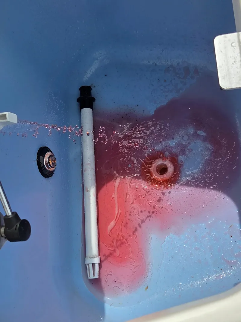 Slide: The Image of Livewell with red water in a 2019 Boston Whaler 240 Dauntless boat. - 25