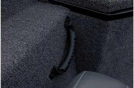 Slide: The Image of 2022 Ranger RT178 interior with textured surface and black handle detail. - 21