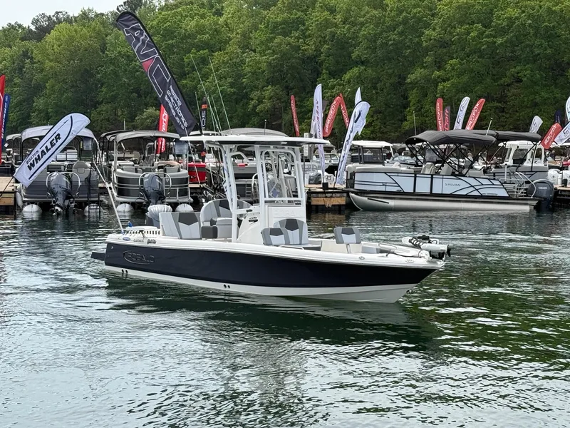Slide: The Image of Robalo 226 Cayman 2025 - 2