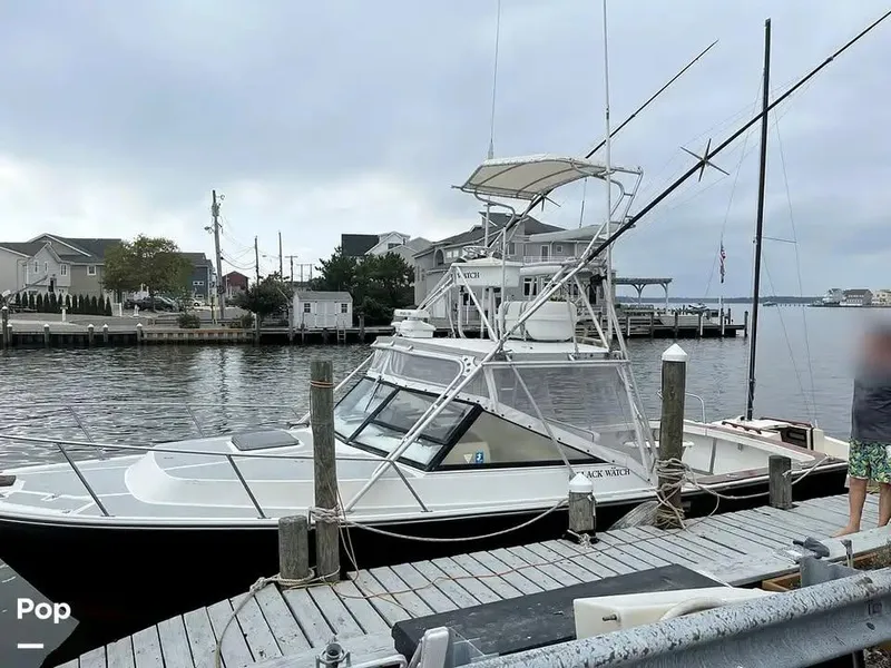 The Image of 1988 Black Watch 30 Sportfish Convertible docked at a marina, overcast sky. - 0
