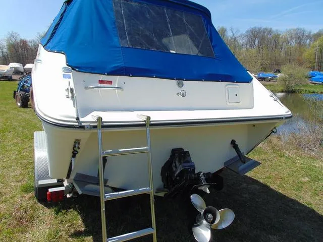 Slide: The Image of 1990 Sea Ray 260 Overnighter boat with blue canopy, ladder, and outboard motor on grass. - 6