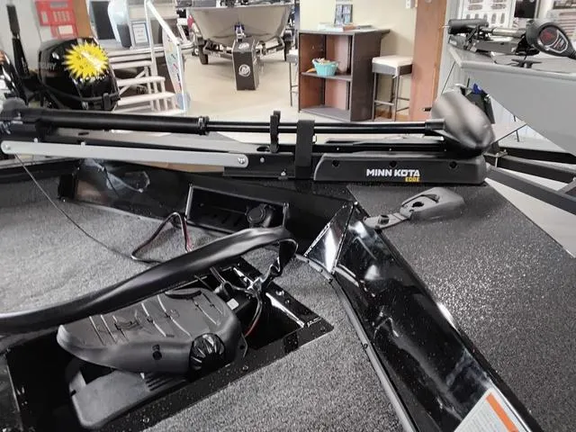 Slide: The Image of Lowe Stinger 175C 2025 - 4