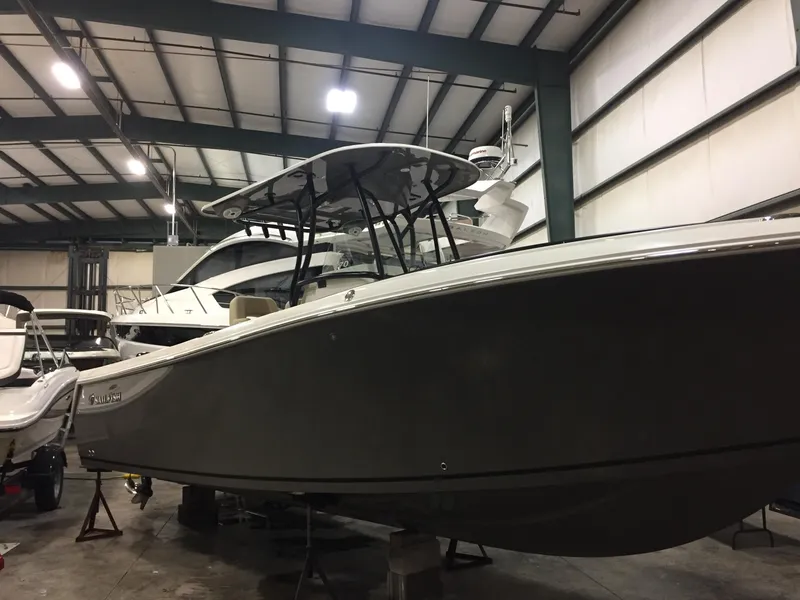 Slide: The Image of Sailfish 270 CC 2018 - 1