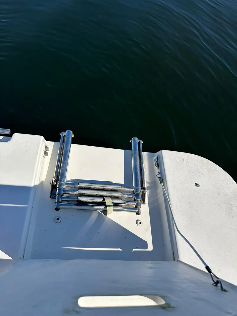 Slide: The Image of 2004 Cruisers Express boat swim platform with ladder over water. - 5