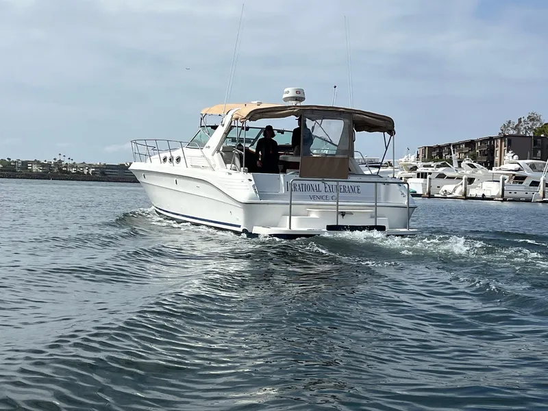 Slide: The Image of 1994 Sea Ray 400 Express cruising on calm waters near a marina. - 2