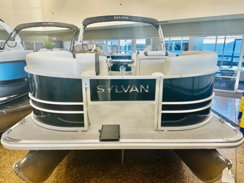 Slide: The Image of Mirage 8522 Party Fish 2025 - 3