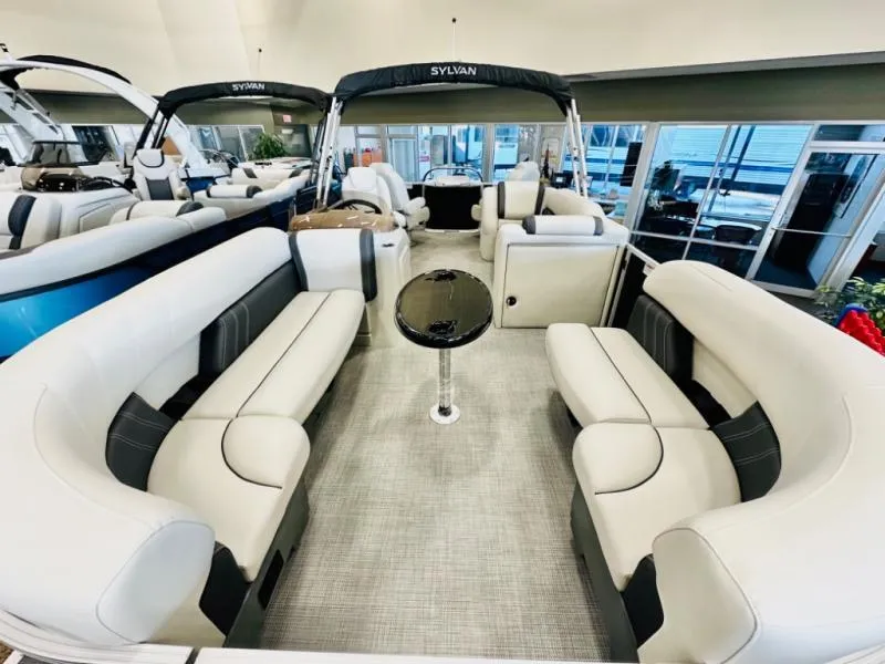 Slide: The Image of Mirage 8522 Party Fish 2025 - 5