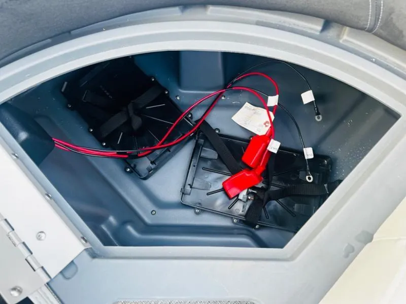 Slide: The Image of Mirage 8522 Party Fish 2025 - 19