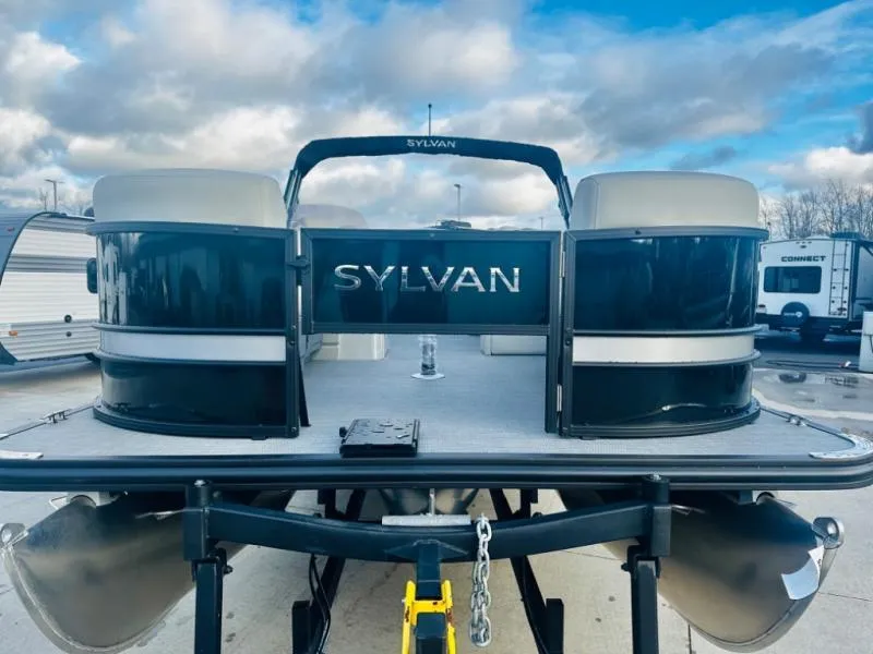 Slide: The Image of Sylvan 8522 Party Fish 2025 - 4