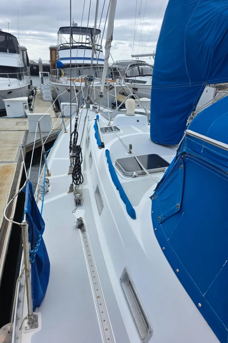 Slide: The Image of Sailboat docked at marina, Stevens 40", 1982 model, with blue covers and clear sky. - 38