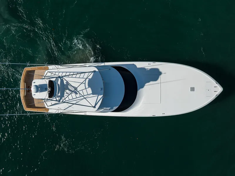 Slide: The Image of Viking 82 BLU FROG - Aerial Profile - 69