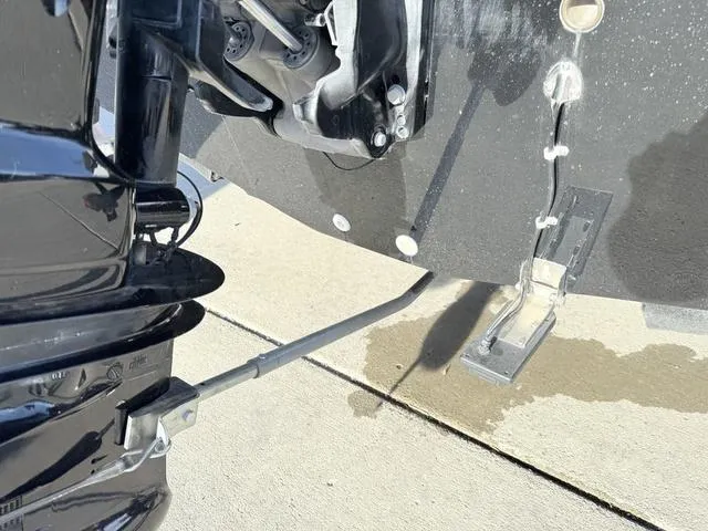 Slide: The Image of Larson 1850 FX DC 2019 - 10