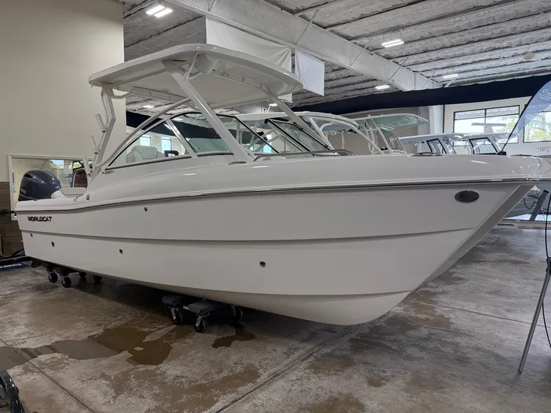 Slide: The Image of World Cat 230DC 2025 - 7