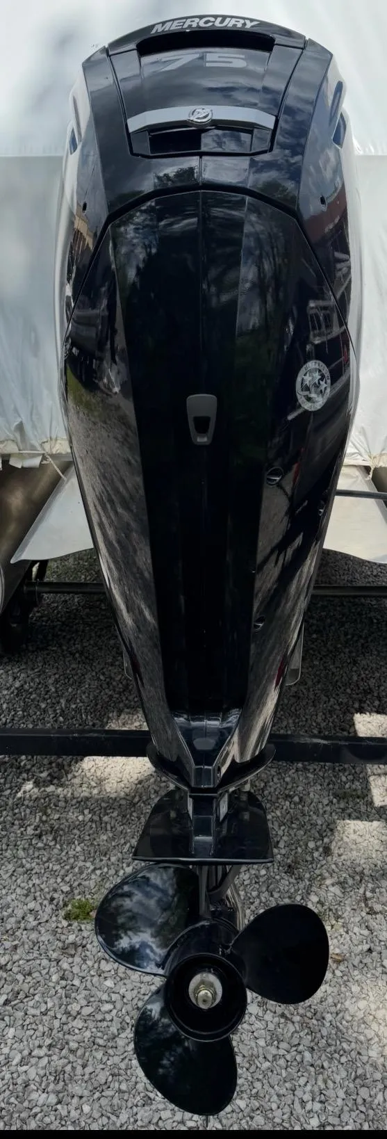 Slide: The Image of 2025 Sun Tracker Bass Buggy 18 DLX outboard motor, black, parked on gravel. - 3