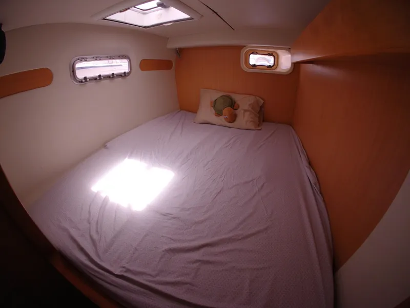 Slide: The Image of Leopard 40 2005 - 50