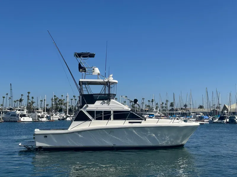 The Image of 1991 Symbol 39 Sedan Sportfisher boat in marina, clear blue sky, calm water. - 0