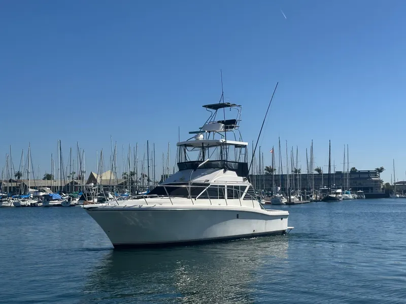Slide: The Image of 1991 Symbol 39 Sedan Sportfisher yacht in marina, clear blue sky, calm water. - 2