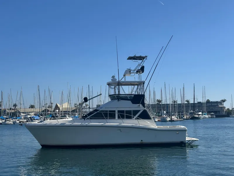 Slide: The Image of 1991 Symbol 39 Sedan Sportfisher yacht docked in marina, clear blue sky background. - 3