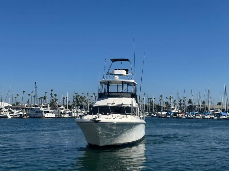 Slide: The Image of 1991 Symbol 39 Sedan Sportfisher yacht in marina, clear blue sky, calm water. - 5