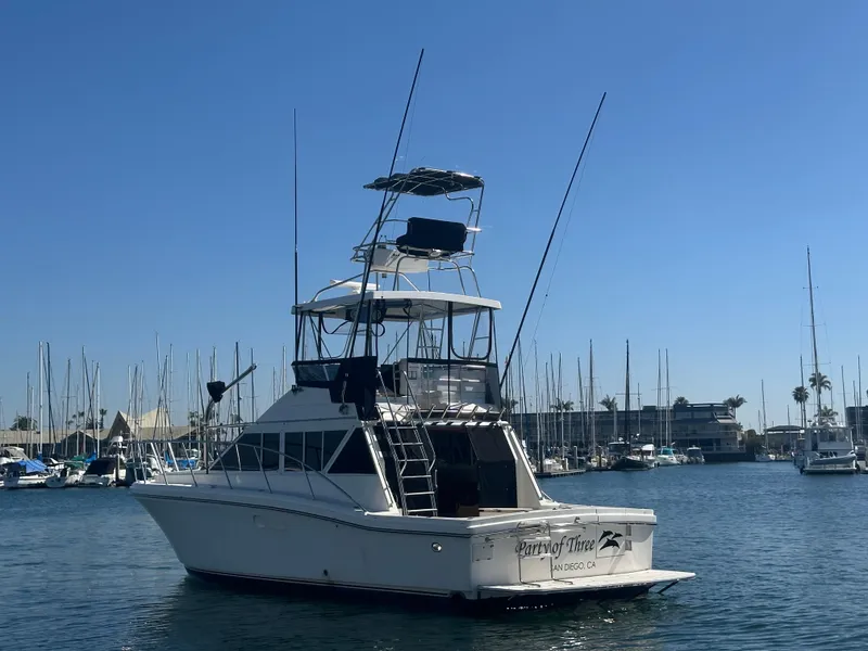 Slide: The Image of 1991 Symbol 39 Sedan Sportfisher boat docked in marina under clear blue sky. - 6